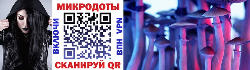 наркошоп  Чекалин  Галлюциногенные грибы мицелий 